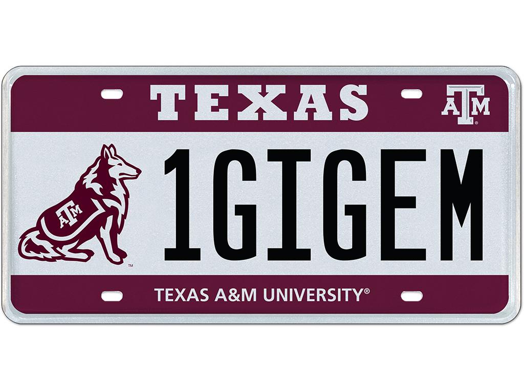 IGIGEM
