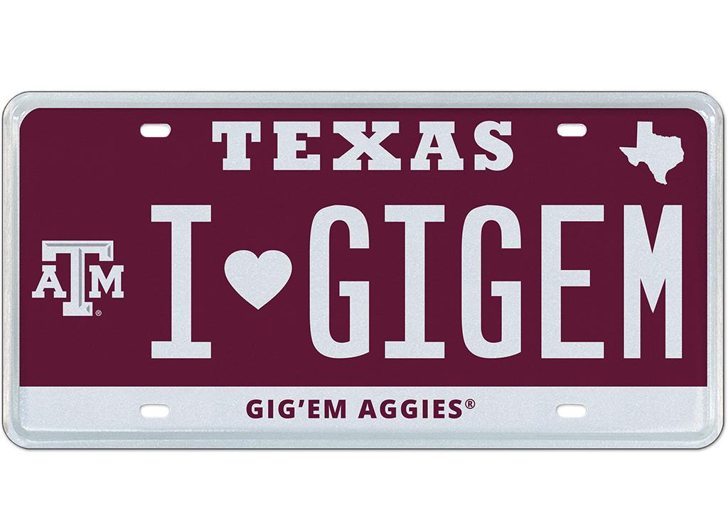 IGIGEM