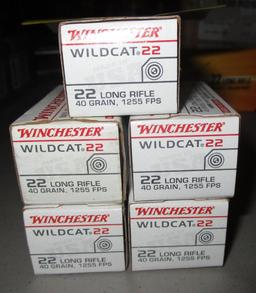 Winchester 22lr, 40 grain, 250 Rounds