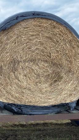 10 Round Bales Hay, Wrapped