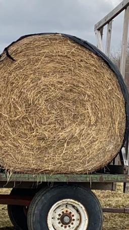 10 Round Bales Hay, Wrapped