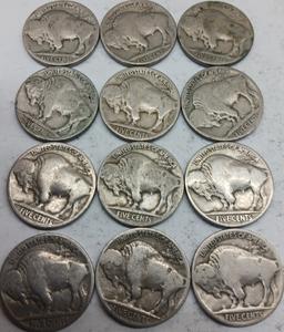 Buffalo Nickels QTY 12
