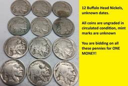Buffalo Nickels QTY 12