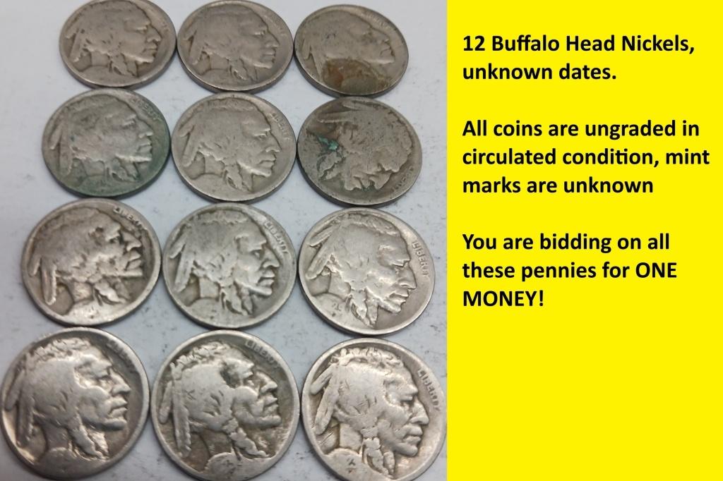 Buffalo Nickels QTY 12