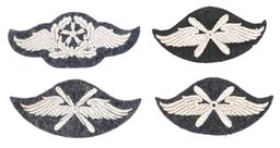 WWII LUFTWAFFE MARKSMANSHIP LANYARD & INSIGNIA LOT