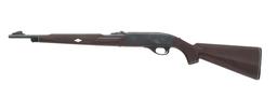 REMINGTON MODEL NYLON 66 .22 LR CALIBER RIFLE