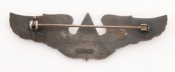 WWII USAAF JOSTEN & WASP REUNION WINGS