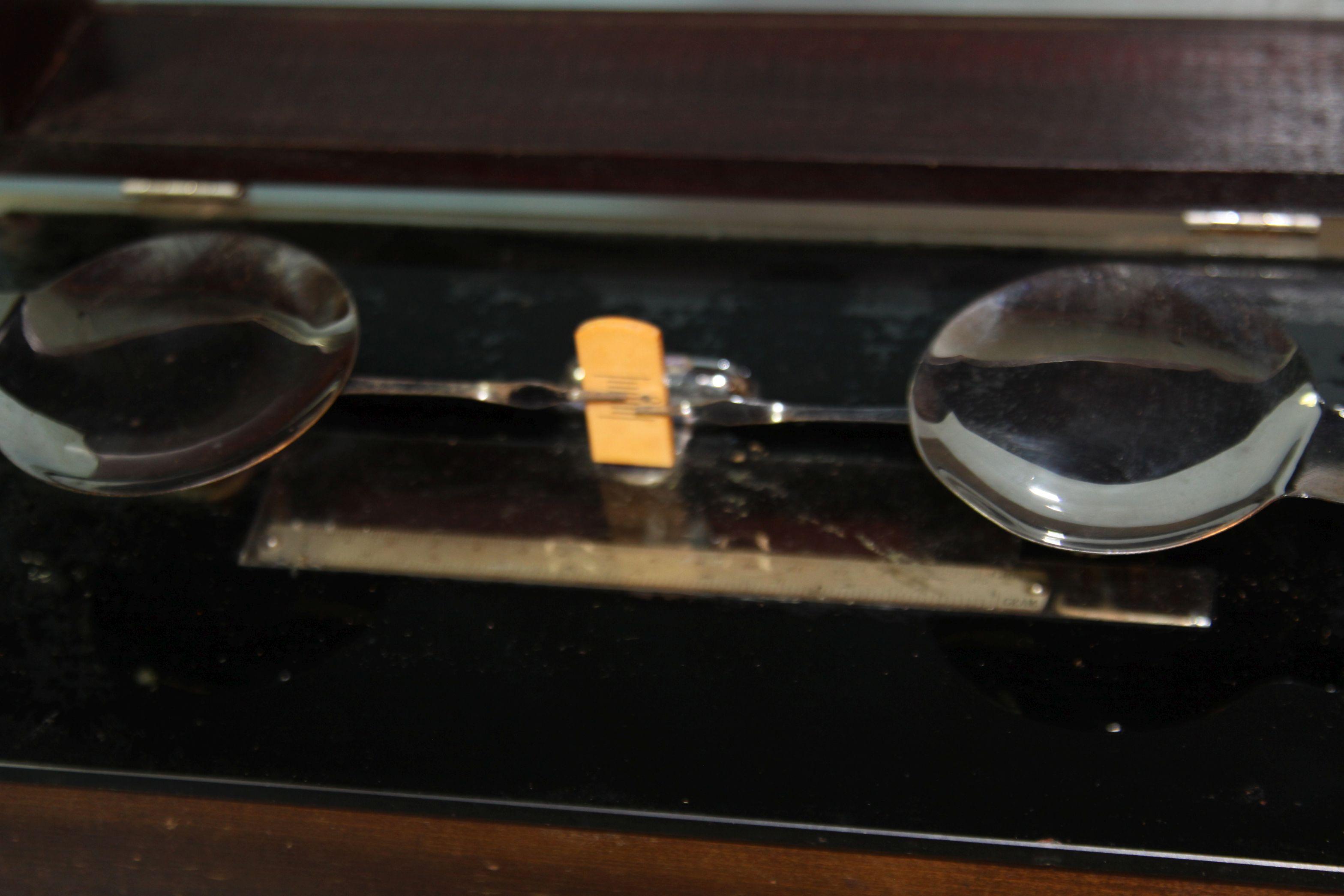 Henry Troemner gold or apothecary scale in wooden case