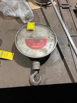 Dillion dial crane scale