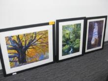 (4) Framed Prints