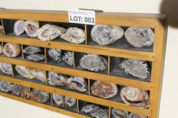 Shelf lot of small geode minerals crystals