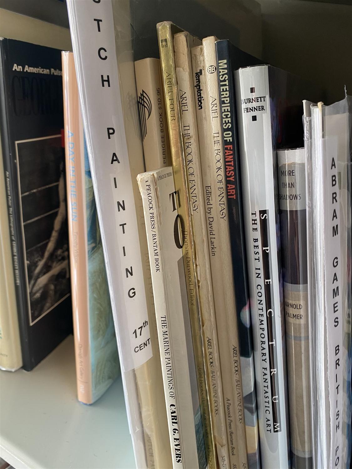 Shelf lot of better books on art