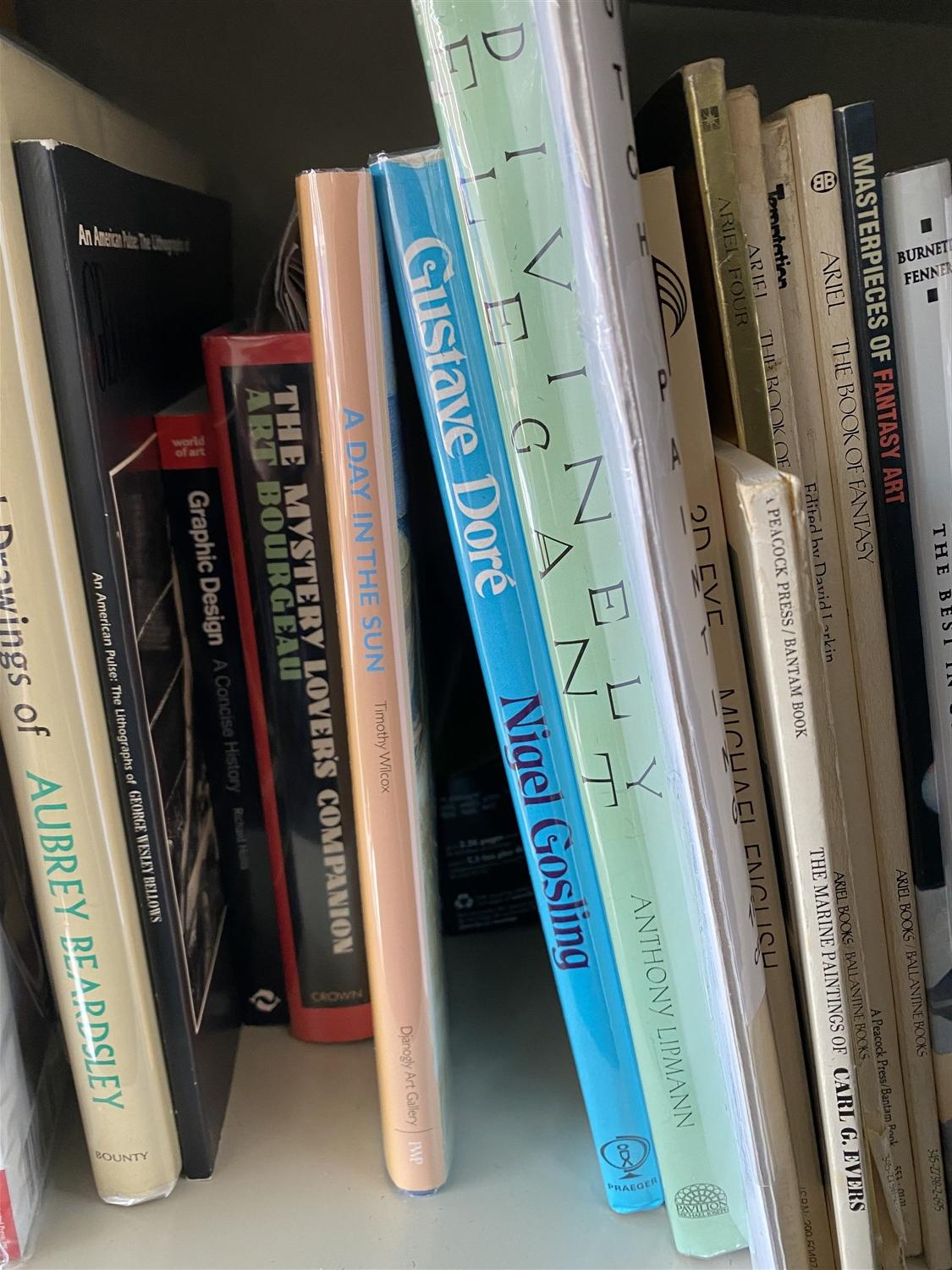 Shelf lot of better books on art