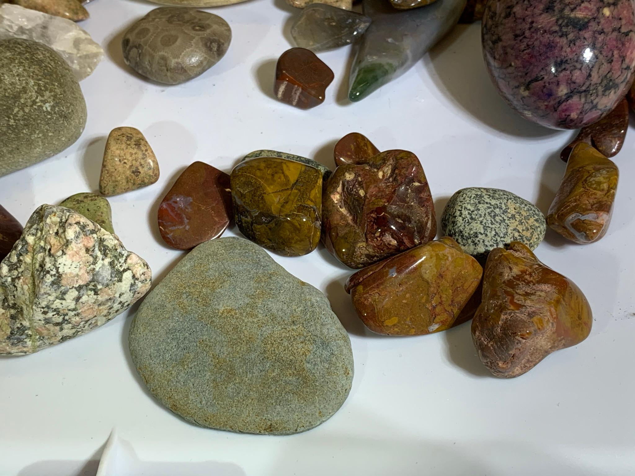 Collection of Rocks, Polished Rocks and a Piece of Bone.
