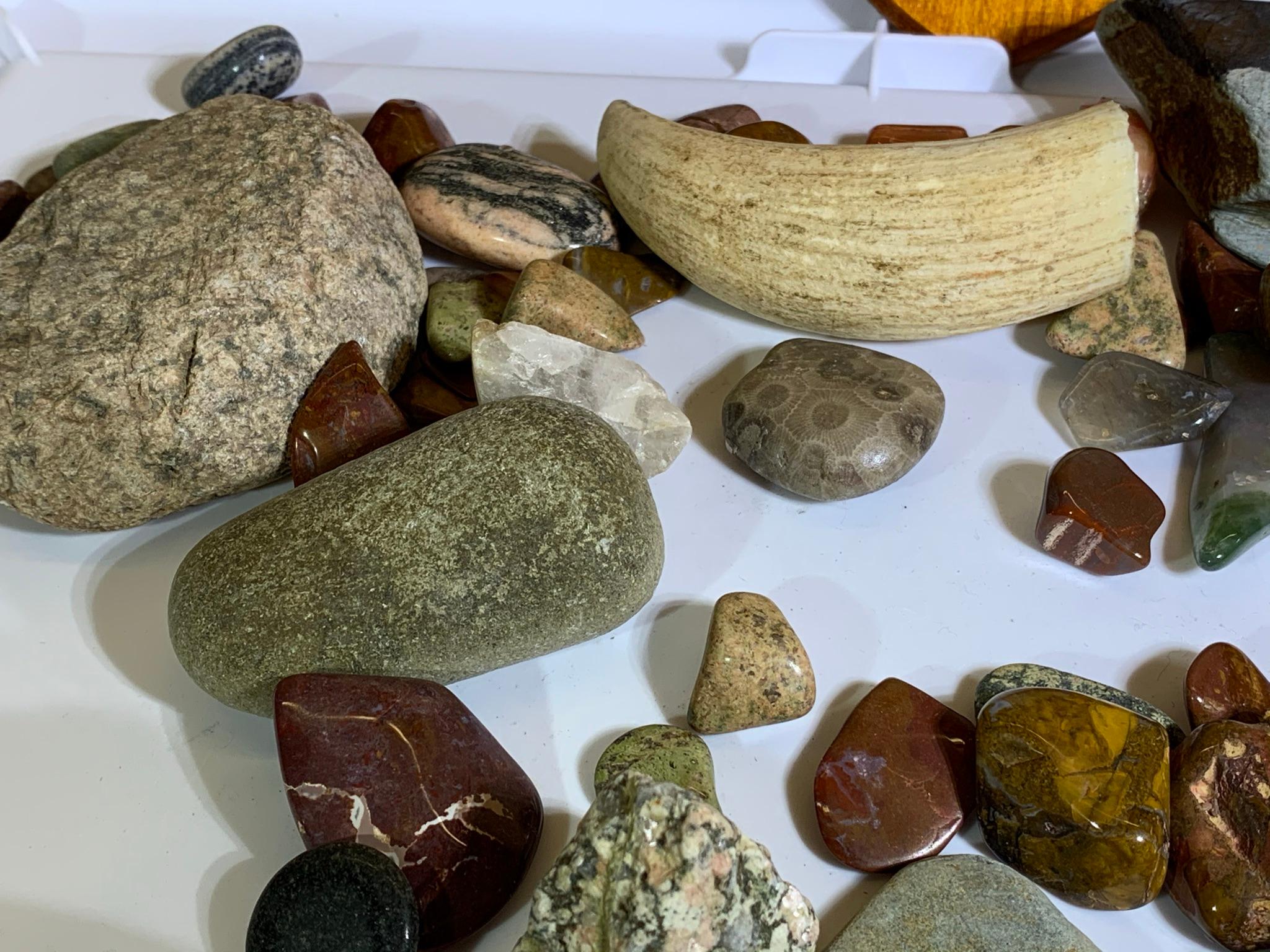 Collection of Rocks, Polished Rocks and a Piece of Bone.