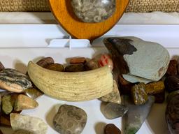 Collection of Rocks, Polished Rocks and a Piece of Bone.
