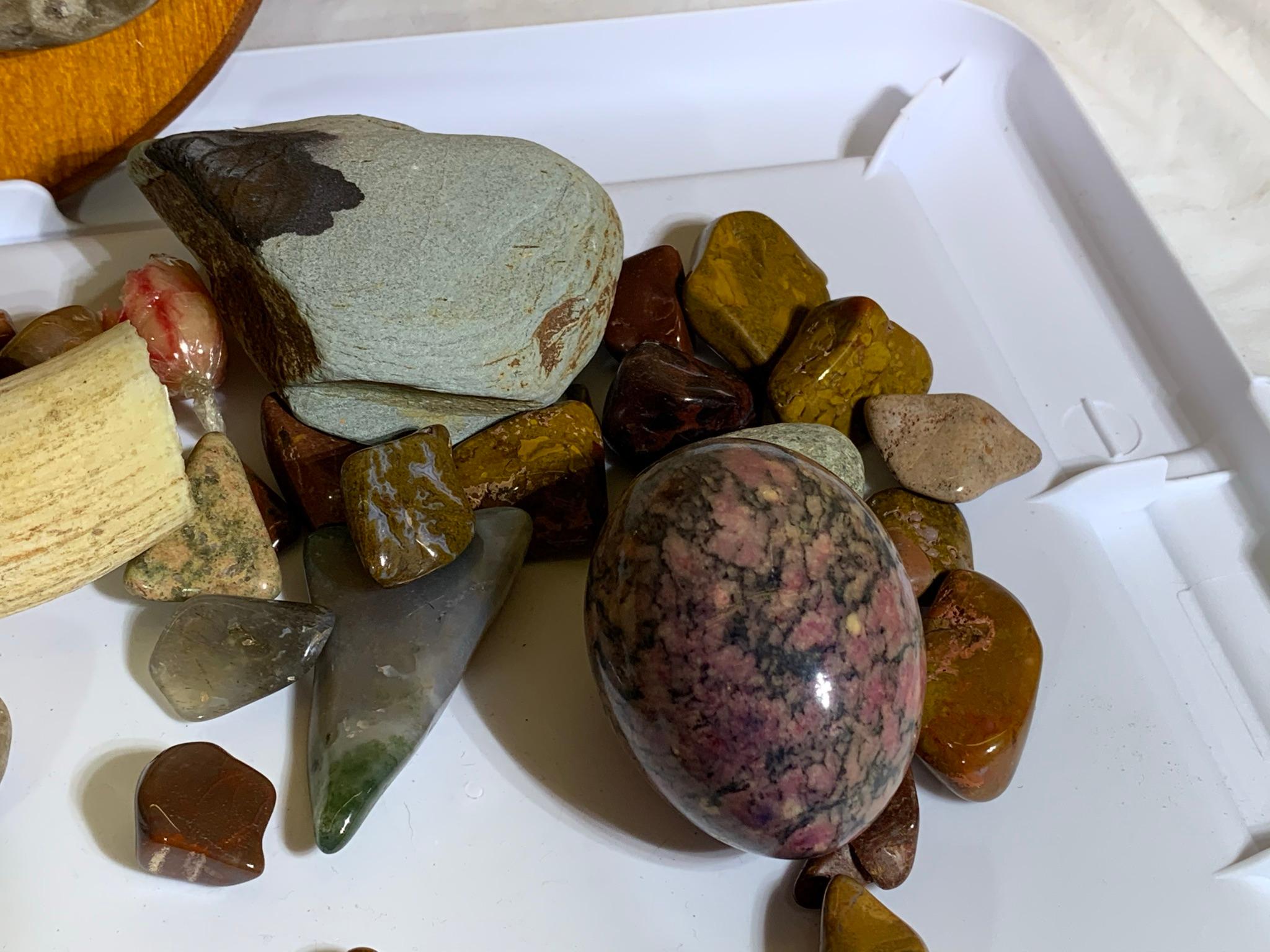 Collection of Rocks, Polished Rocks and a Piece of Bone.