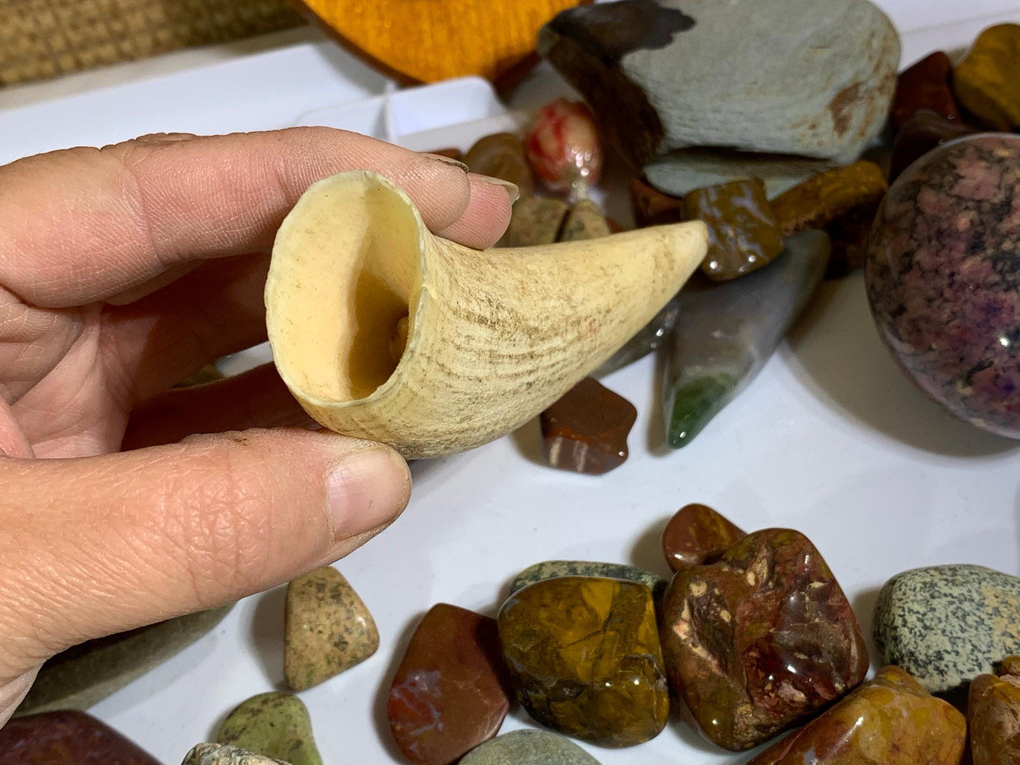 Collection of Rocks, Polished Rocks and a Piece of Bone.