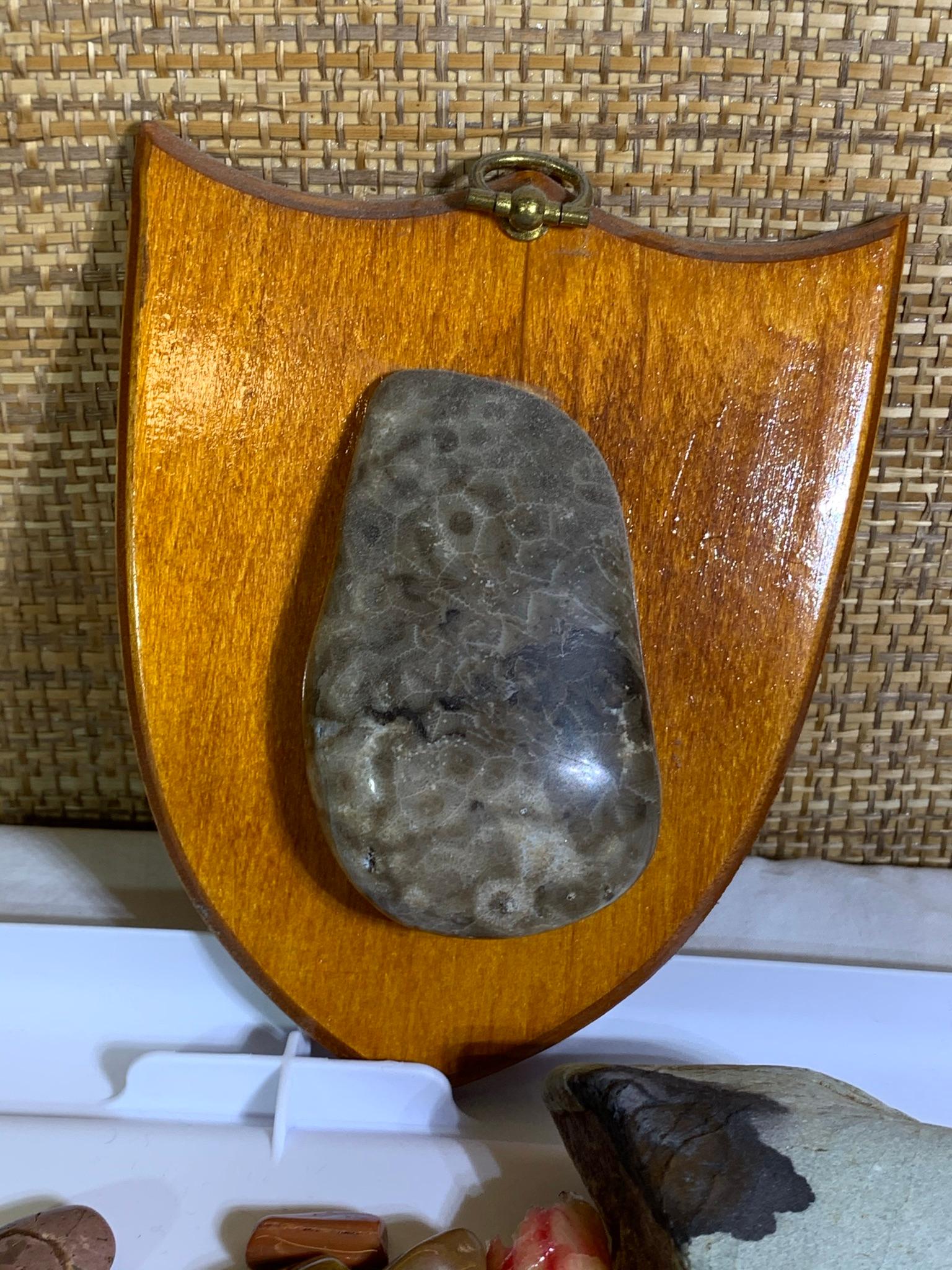 Collection of Rocks, Polished Rocks and a Piece of Bone.
