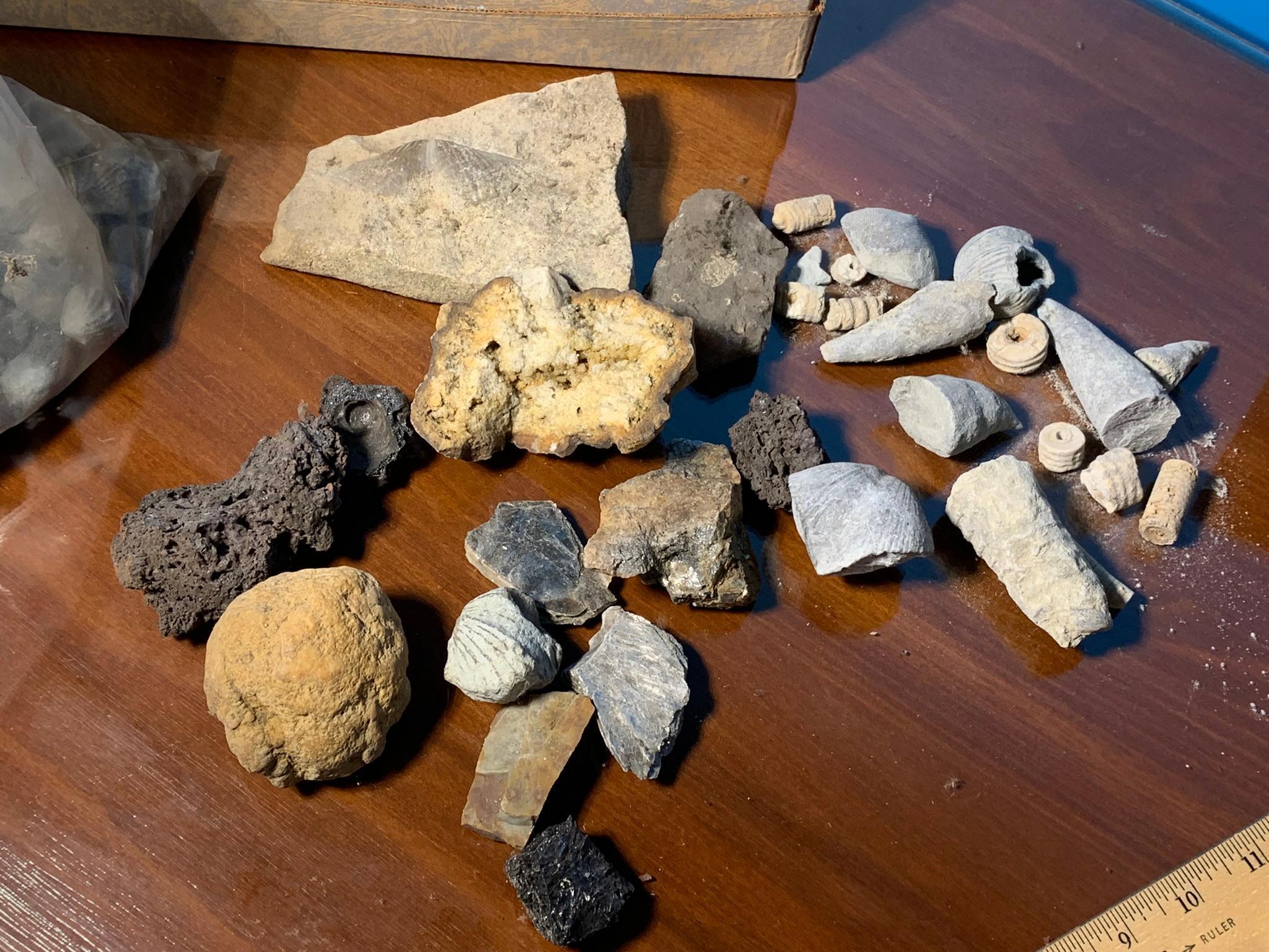 Assorted Rocks and Minerals
