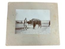 1890's Photo of Wyoming Hybrid Buffalo Rancher Noah Hudson.