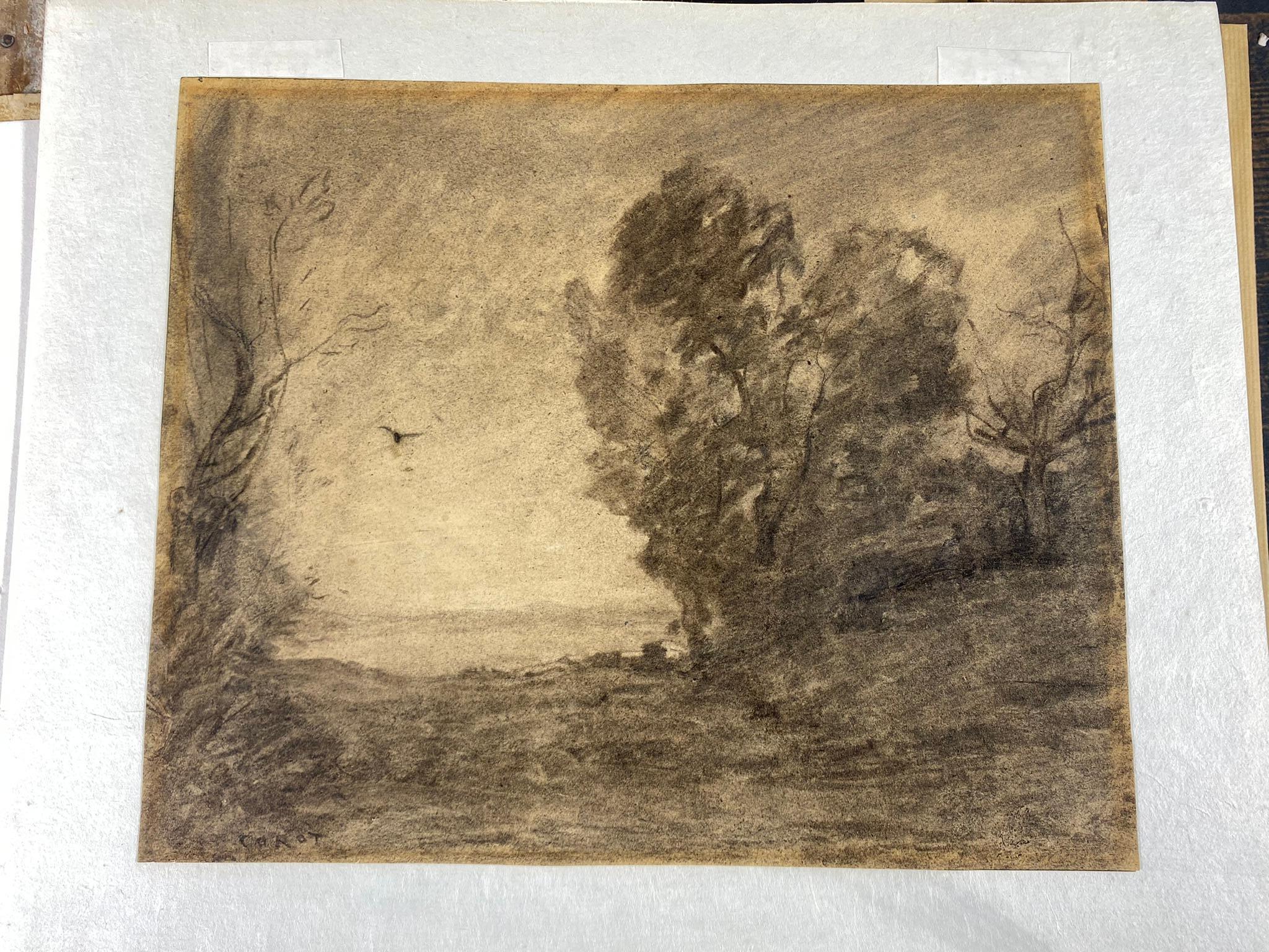 Countryside with Bird, Charcoal, Camille Jean-Baptiste Corot (1796-1875)