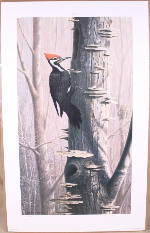 "Court Jester" by Rob Stine 444/600, Limited Ed. print signed, Copyright 1988, 18.25"x30" approx.