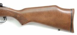 Savage, Model 110, .270 Win, s/n F183968, rifle, brl length 22", bolt action