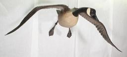 full size, life like Ted Hanks 1978 wood carved Canadian Goose in flight