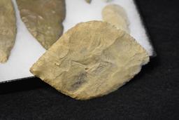 Frame of 20 Native American Arrowheads / Points (Mixed Origins)