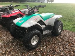 1993 Yahmaha Breeze