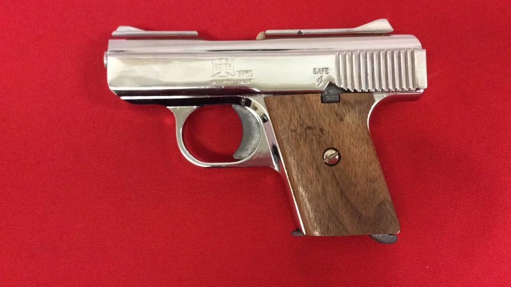 Raven Arms MP 25 Pistol