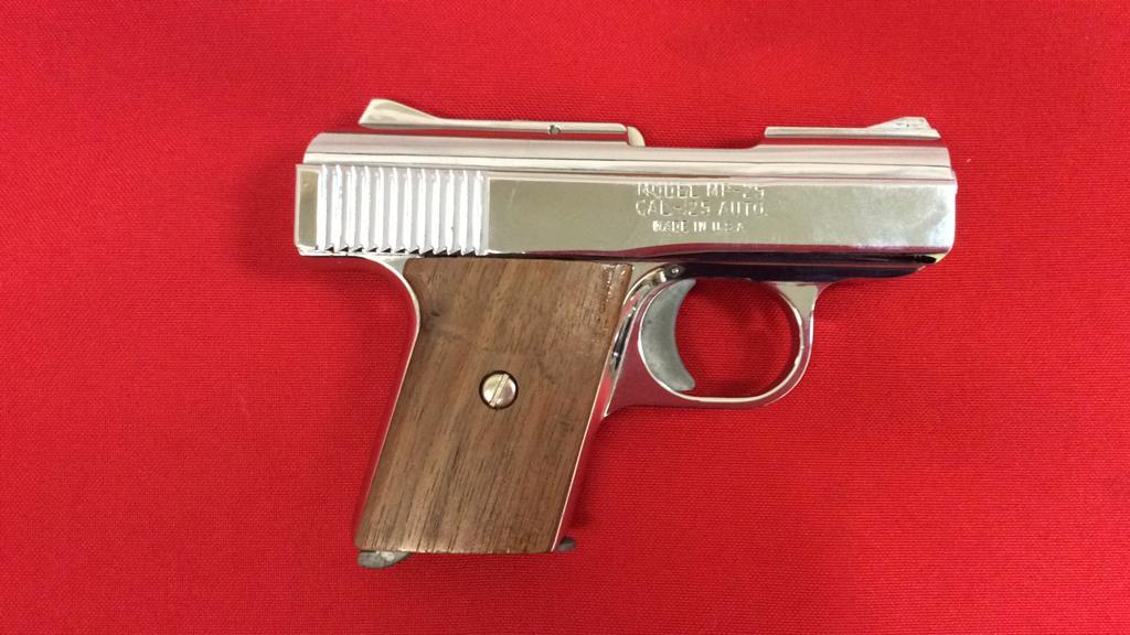 Raven Arms MP 25 Pistol