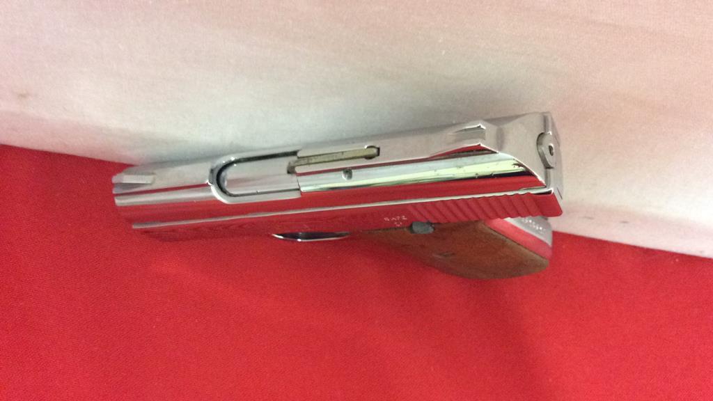 Raven Arms MP 25 Pistol
