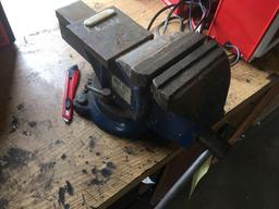 6" Great Neck Vise