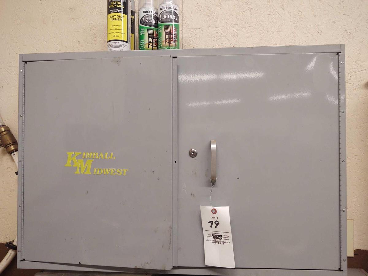 Metal two-door wall cabinet with assorted spray paints