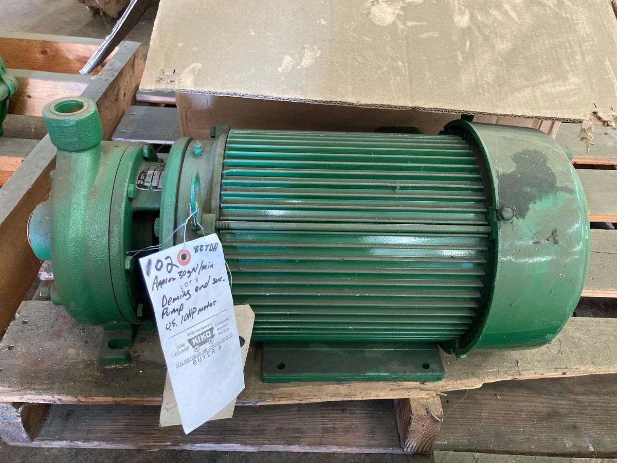 Deming end suction pump