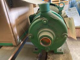 Deming end suction pump