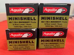 Aguila buckshot minishell