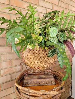 Bent wood stand with artificial plant