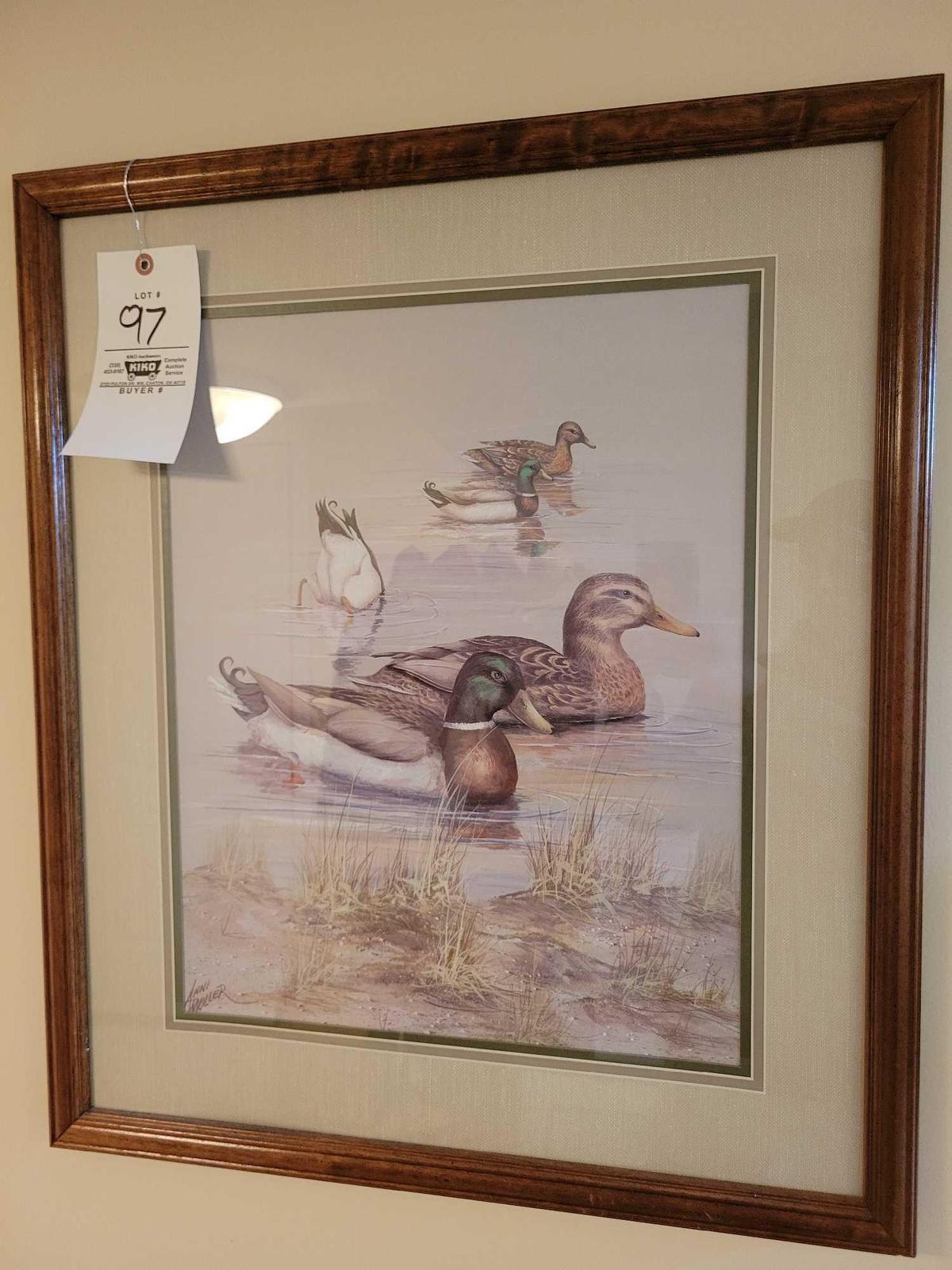 Anni Moller Mallard Duck Framed print
