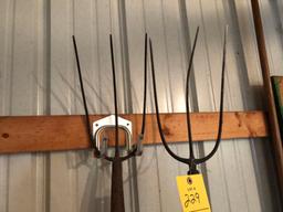 Pair of 3 prong forks