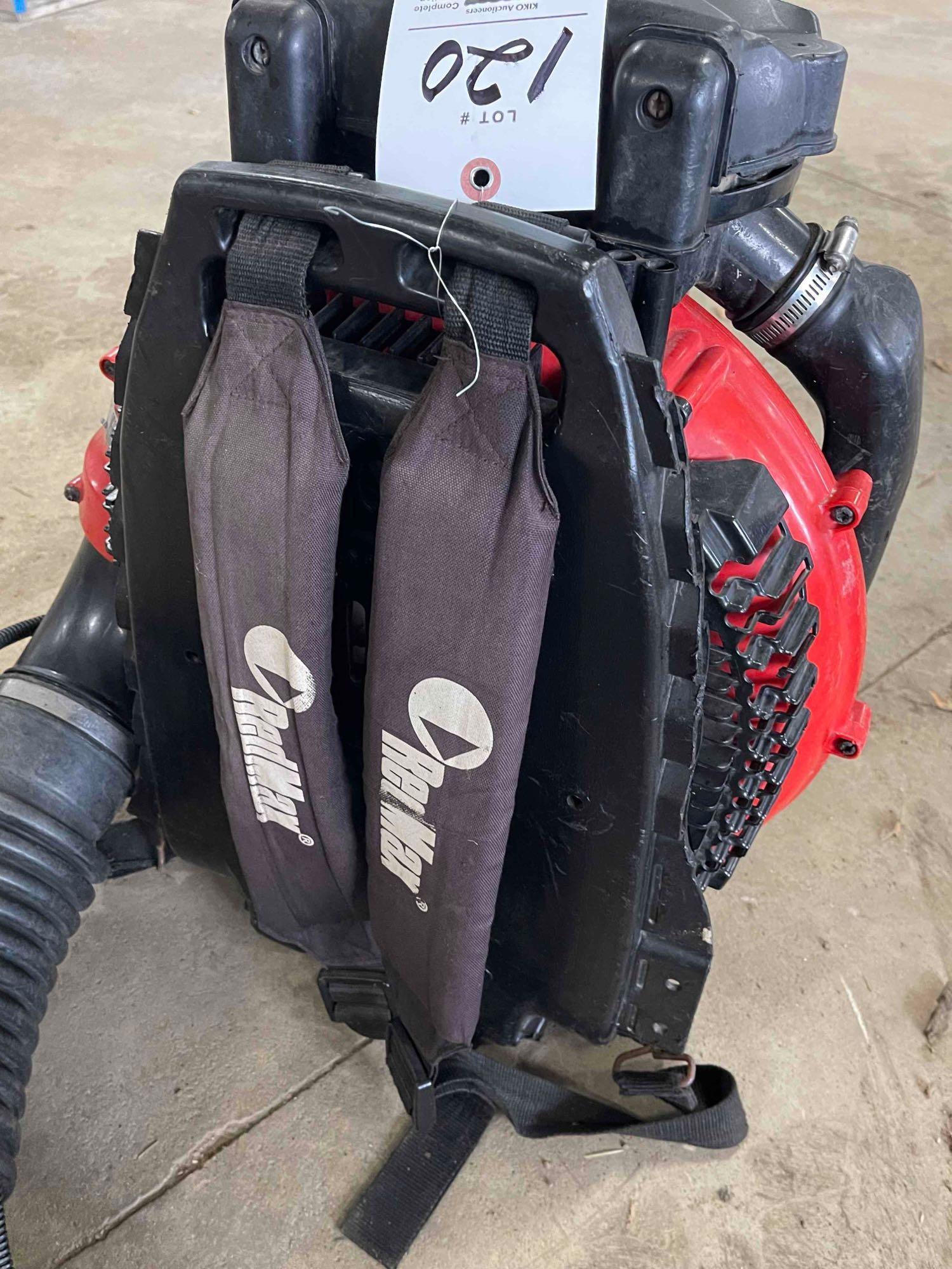 RedMax EBZ8500 backpack blower, runs