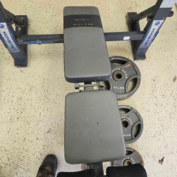 Monster Platinum weight bench with weights and bar