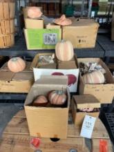 Ceramic Pumpkin Decor and Wooden Spool