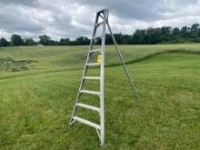 F.R. Stokes Aluminum Orchard Ladder 9ft