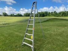 F.R. Stokes Aluminum Orchard Ladder 10ft