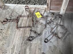 conibear traps
