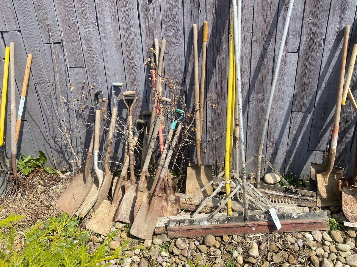 Shovels - Squeegees