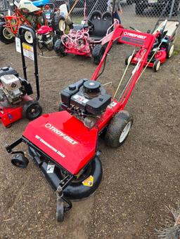 TroyBilt mower (not running)